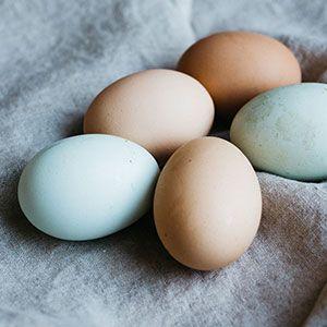 13 Reasons To Eat More Protein