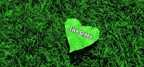 Live Green ~ Tips for embracing a greener lifestyle