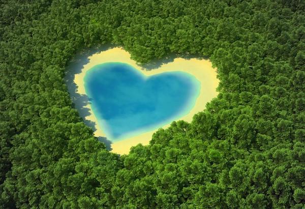 Celebrate a Green Valentine's Day This Year
