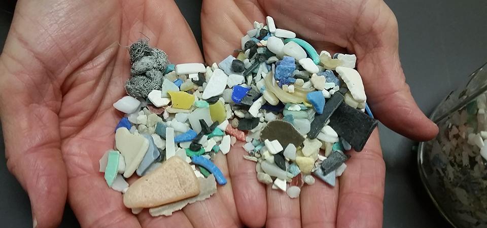 How Microplastics Adversely Affect The Environment