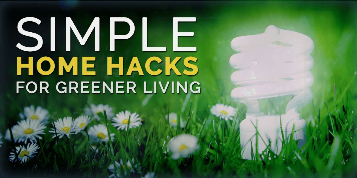 Simple Home Hacks for Greener Living